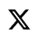 X (Twitter) icon